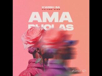 KWiiSH SA – Amapholas Vol. 9 Mix