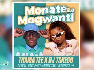 Thama Tee & DJ Tshegu - Monate mogwanti 2.0 Ft. Cowboii, LeeMcKrazy, Matuteboyrsa & Master Piece YVK